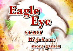 Eagle Eye Game